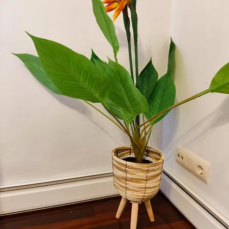 Apartman Don Divino Medina de Pomar